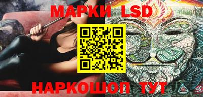 гидропоника Камышлов