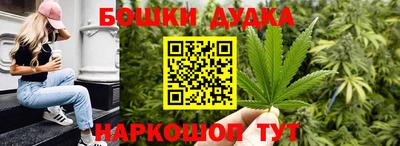 гидропоника Камышлов