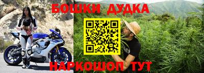 гидропоника Камышлов