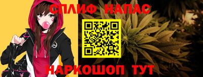 гидропоника Камышлов