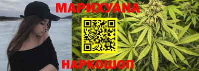 гидропоника Камышлов