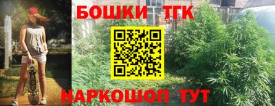 гидропоника Камышлов