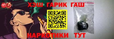 гидропоника Камышлов